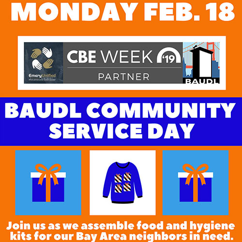 BAUDL Community Service Day